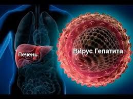  Лечение гепатита С в Москве