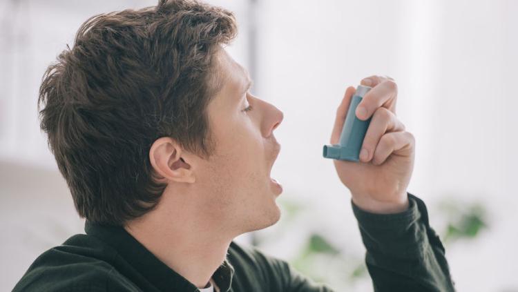 Аллерголог Варданян назвала клещей домашней пыли основным фактором риска развития астмы