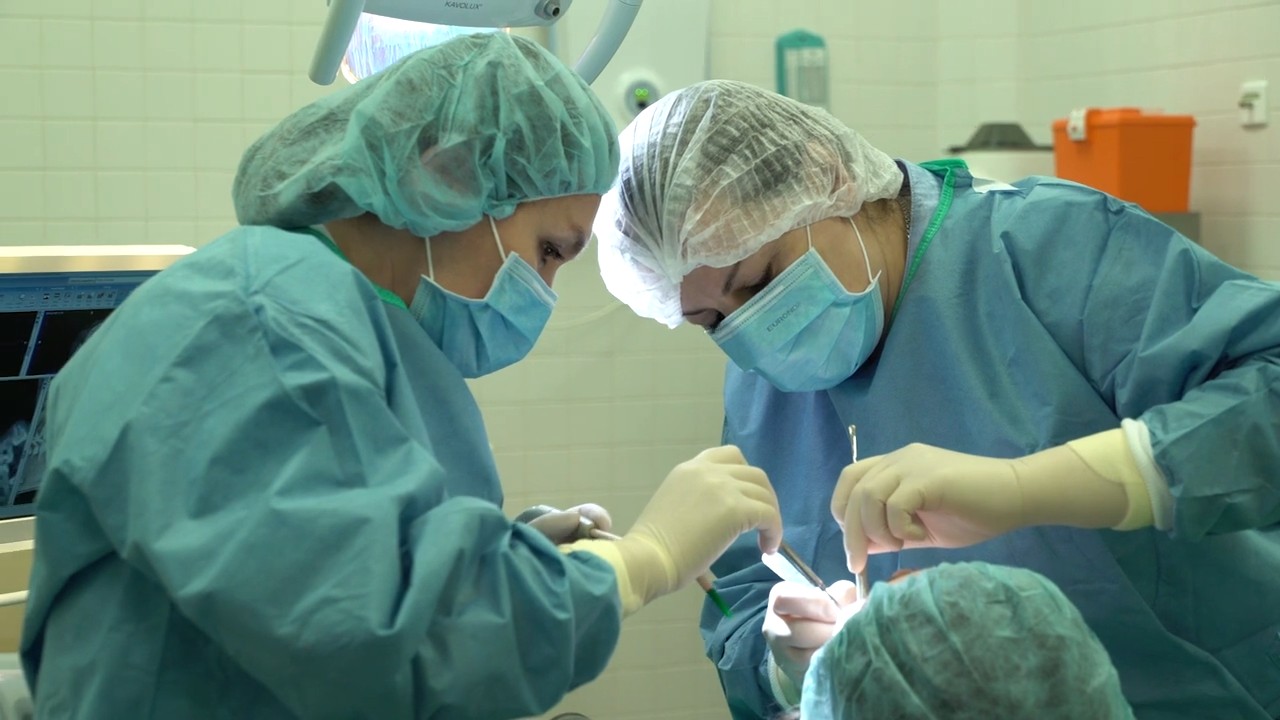 Аутотрансплантация зачатка зуба