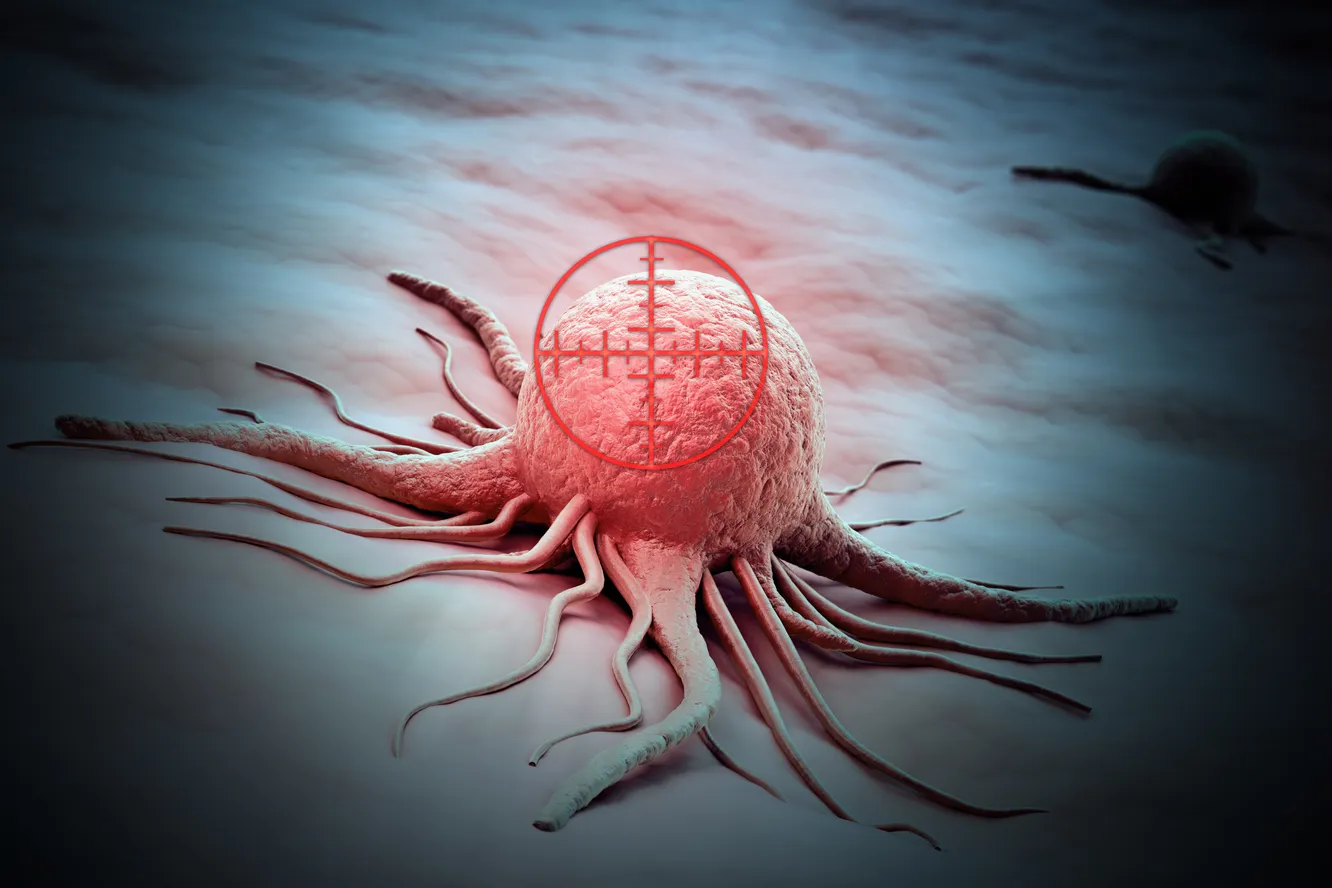 Рак предстательной железы: как его избежать