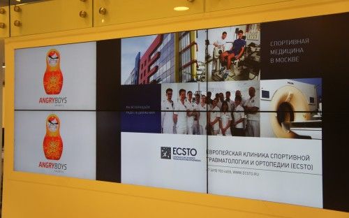 Специалисты ECSTO провели совместную конференцию с коучинговой студией Angry Boys Sports